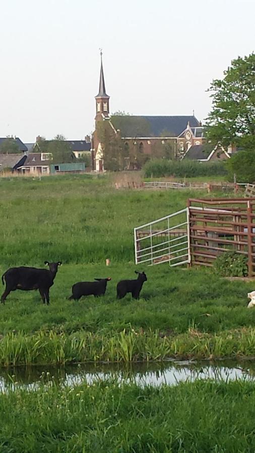 Het Kraaienbosch Panzió Zegveld Kültér fotó