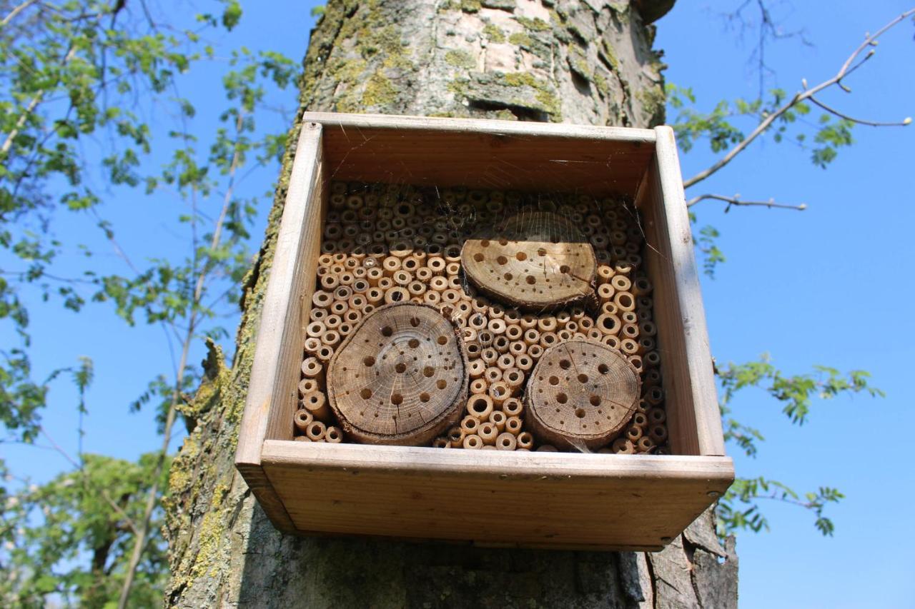 Het Kraaienbosch Panzió Zegveld Kültér fotó