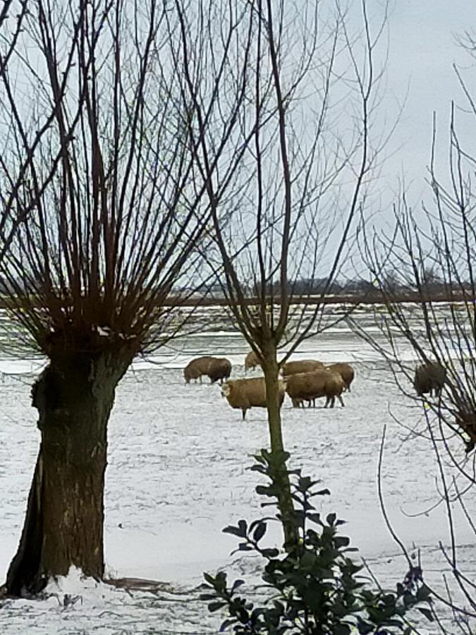 Het Kraaienbosch Panzió Zegveld Kültér fotó